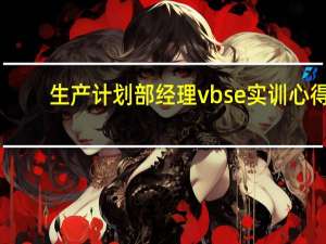 生产计划部经理vbse实训心得