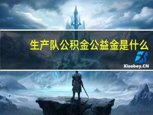 生产队公积金公益金是什么