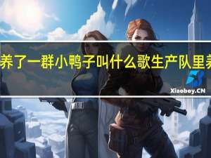 生产队里养了一群小鸭子叫什么歌 生产队里养了一群小鸭子