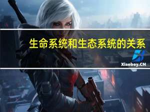 生命系统和生态系统的关系