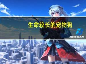 生命较长的宠物狗