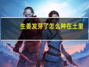 生姜发芽了怎么种在土里