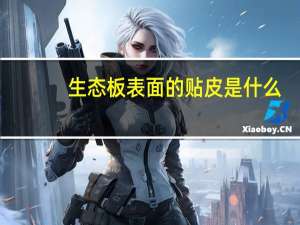 生态板表面的贴皮是什么