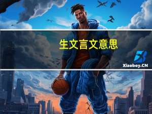 生文言文意思