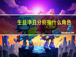 生旦净丑分别指什么角色