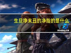生旦净末丑的净指的是什么