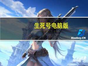 生死号电脑版（生死号）
