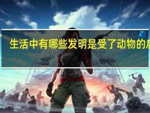 生活中有哪些发明是受了动物的启发