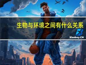 生物与环境之间有什么关系