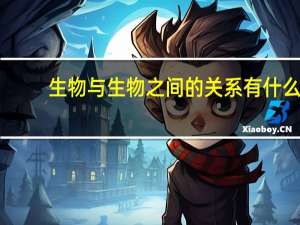 生物与生物之间的关系有什么