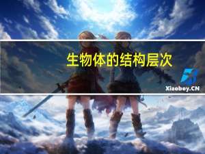 生物体的结构层次