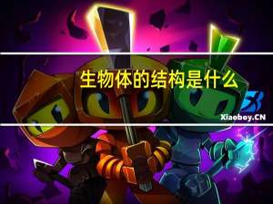 生物体的结构是什么