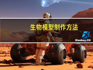 生物模型制作方法