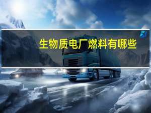 生物质电厂燃料有哪些
