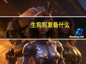 生狗狗准备什么