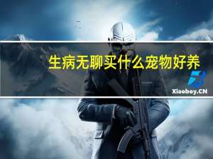 生病无聊买什么宠物好养