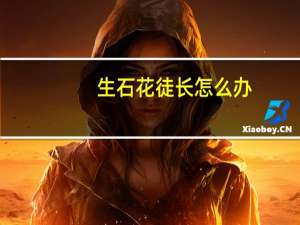 生石花徒长怎么办