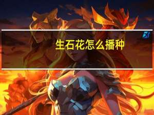 生石花怎么播种