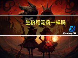 生粉和淀粉一样吗