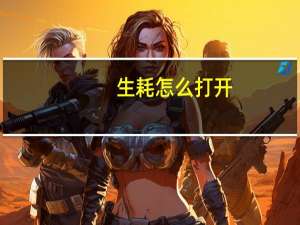 生耗怎么打开