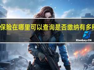 生育保险在哪里可以查询是否缴纳 有多种查询方式