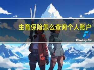 生育保险怎么查询个人账户