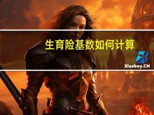 生育险基数如何计算