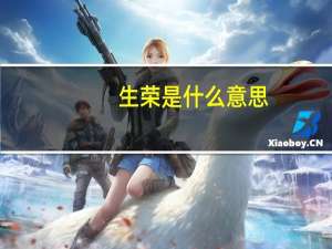生荣是什么意思