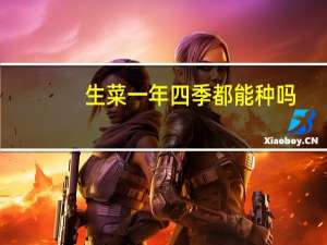 生菜一年四季都能种吗
