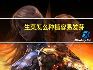 生菜怎么种植容易发芽