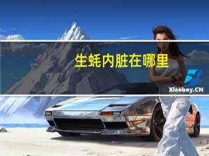 生蚝内脏在哪里