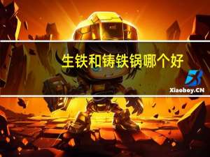 生铁和铸铁锅哪个好