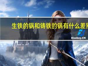 生铁的锅和铸铁的锅有什么差别