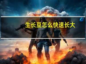 生长豆怎么快速长大