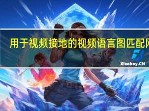 用于视频接地的视频语言图匹配网络