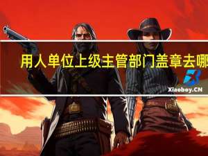 用人单位上级主管部门盖章去哪里