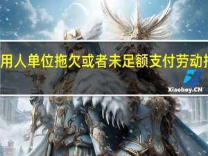 用人单位拖欠或者未足额支付劳动报酬的，劳动者可以依法向当地人民法院申请（ ）。