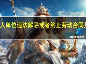 用人单位违法解除或者终止劳动合同几倍赔偿