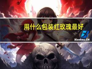 用什么包装红玫瑰最好