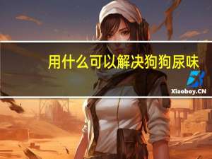用什么可以解决狗狗尿味