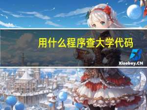 用什么程序查大学代码