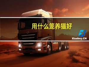 用什么笼养猫好