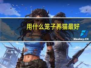 用什么笼子养猫最好