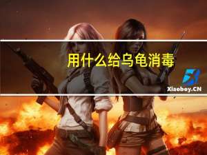 用什么给乌龟消毒