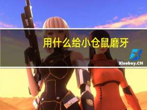 用什么给小仓鼠磨牙