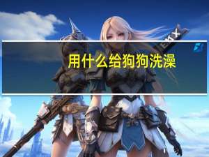 用什么给狗狗洗澡