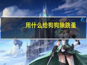 用什么给狗狗除跳蚤