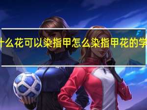 用什么花可以染指甲怎么染 指甲花的学名叫什么