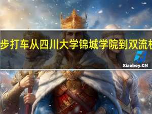 用优步打车从四川大学锦城学院到双流机场好打吗