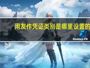 用友作凭证类别是哪里设置的